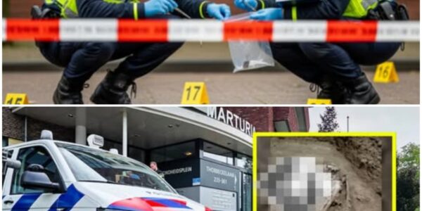 Alleen skelet nog over van gevonden persoon in woning: 'Al jaren overleden'