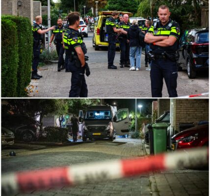 De verdachte van de dodelijke steekpartij die dinsdag plaatsvond in Gouda is de broer van het slachtoffer, meldt de politie op X.