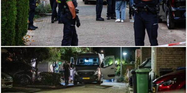 De verdachte van de dodelijke steekpartij die dinsdag plaatsvond in Gouda is de broer van het slachtoffer, meldt de politie op X.