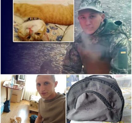 Oekraïense soldaat komt na 6,5 jaar vrij uit strafkolonie mét kater Myshko die hem hielp de hel te overleven