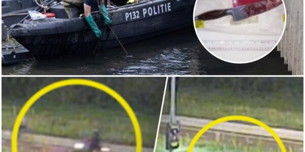 Politie vindt mes en telefoon in onderzoek naar verdachte van doden Lisa