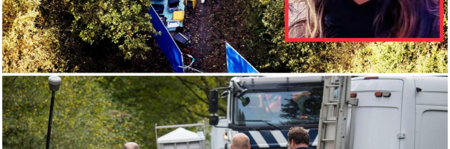 Lichaam van jong meisje gevonden in Nederlands bos: politie start groot onderzoek