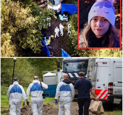 Lichaam van jong meisje gevonden in Nederlands bos: politie start groot onderzoek