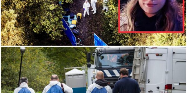 Lichaam van jong meisje gevonden in Nederlands bos: politie start groot onderzoek