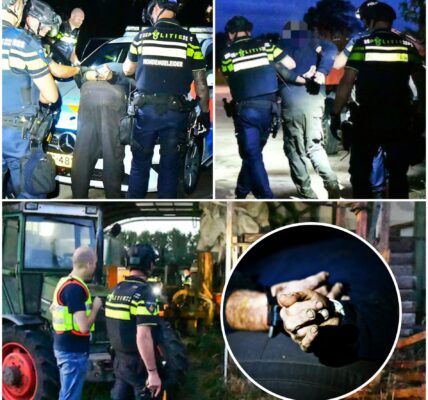 Man (86) door misdrijf om het leven gekomen in Bergeijk, politie houdt verdachte aan bij woning met hulp speurhond