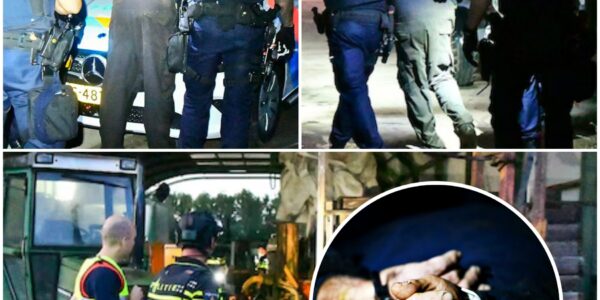 Man (86) door misdrijf om het leven gekomen in Bergeijk, politie houdt verdachte aan bij woning met hulp speurhond