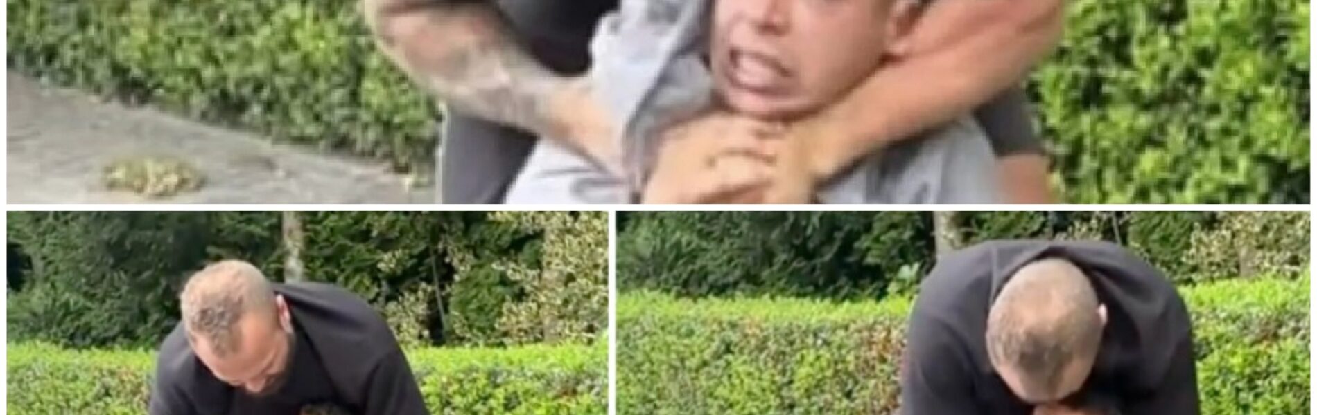 Nederlandse man rekent eigenhandig af met asielzoeker die probeerde te stelen