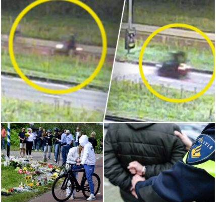 Twee fietsers grijpen in bij poging tot seksueel misdrijf: 40-jarige man aangehouden