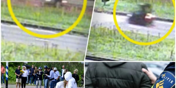 Twee fietsers grijpen in bij poging tot seksueel misdrijf: 40-jarige man aangehouden