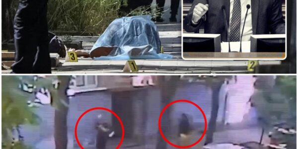 Oekraïense ex-parlementsvoorzitter doodgeschoten op straat, beelden tonen hoe ‘koerier’ hem achtervolgt en toeslaat