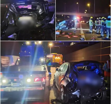 Zwaar ongeval op de E17 bij viaduct Gentbrugge: meerdere gewonden na botsing tussen Belgische en Nederlandse wagen