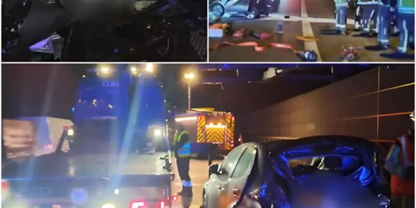 Zwaar ongeval op de E17 bij viaduct Gentbrugge: meerdere gewonden na botsing tussen Belgische en Nederlandse wagen