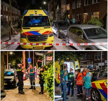 Man overleden na aanval door twee honden in woning Rotterdam