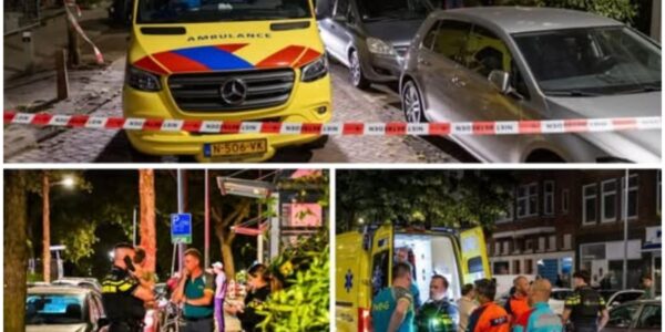 Man overleden na aanval door twee honden in woning Rotterdam