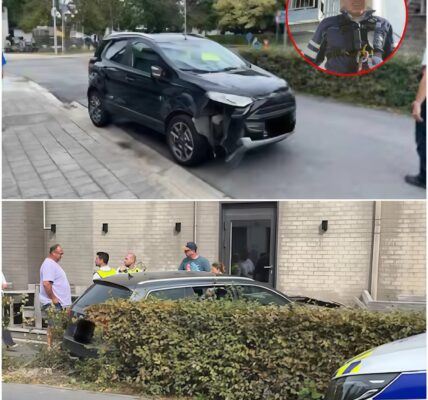 Zeventiger onder invloed rijdt op voetpad, doorboort haag en botst tegen terras van restaurant in Waregem