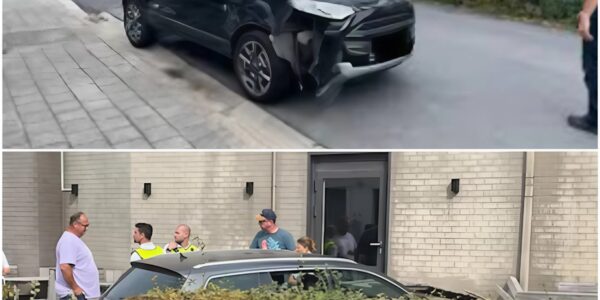 Zeventiger onder invloed rijdt op voetpad, doorboort haag en botst tegen terras van restaurant in Waregem