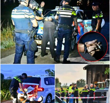 Man (86) uit Lommel vermoord aangetroffen in boerderij op grens tussen België en Nederland