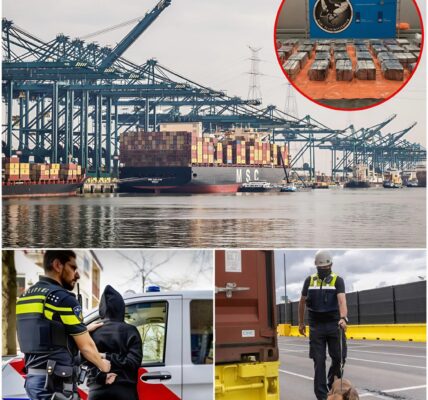 Zeven Nederlanders gearresteerd bij grote drugsvangst in Antwerpse haven