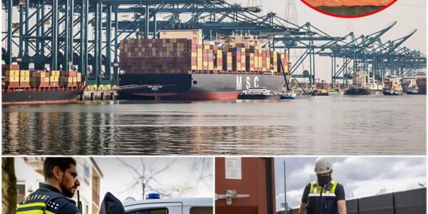 Zeven Nederlanders gearresteerd bij grote drugsvangst in Antwerpse haven
