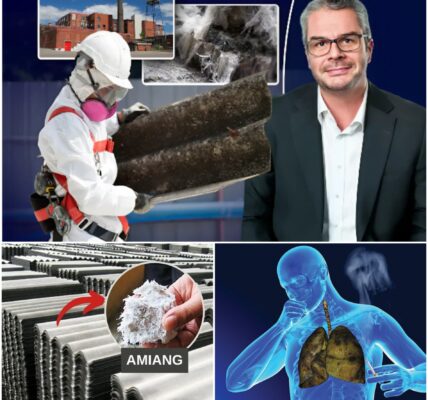 "Dodelijk gevaar loert": waarom 6 van de 10 bedrijven geen geldige asbestmagazijnen hebben