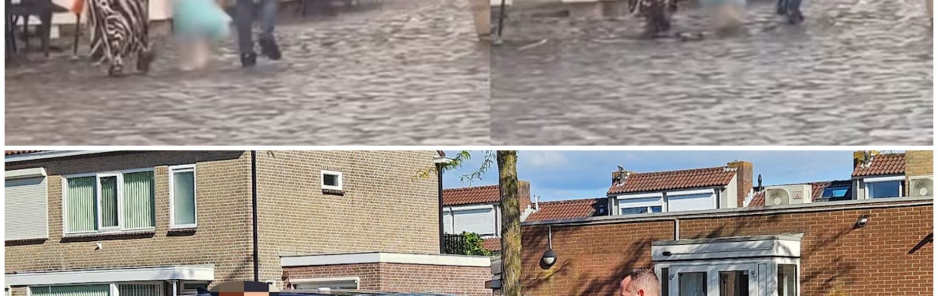 Albanië start onderzoek naar Nederlandse vader (33) die dochtertje met haren over straat sleurt