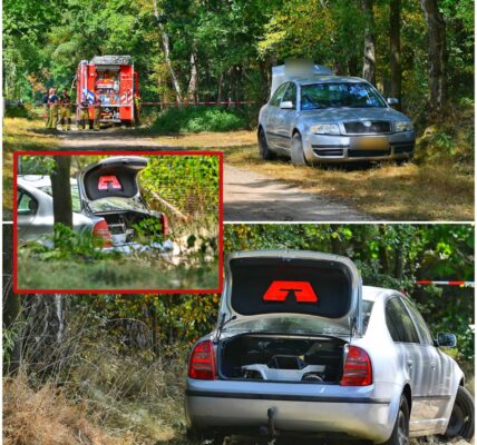 Auto met bommen aangetroffen, bestuurder aangehouden