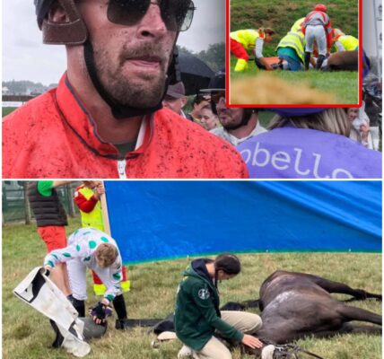“Paard gaat voor op de sport”: Ruben Van Gucht uit felle kritiek op Waregem Koerse nadat twee dieren sterven