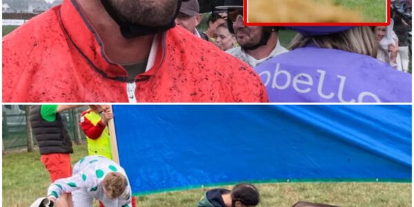 “Paard gaat voor op de sport”: Ruben Van Gucht uit felle kritiek op Waregem Koerse nadat twee dieren sterven