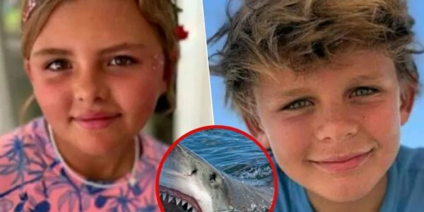 Rose (10) redt haar broer (8) na haaienaanval: “Haar stalen zenuwen maakten het verschil tussen leven en dood”