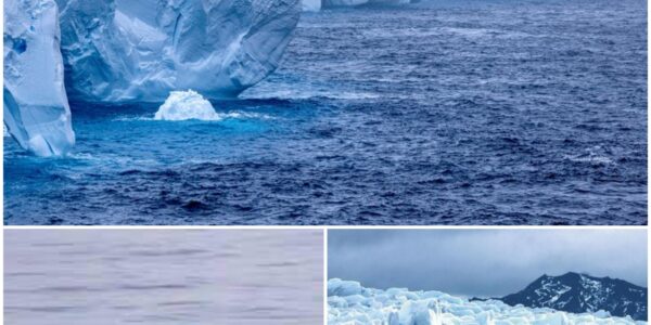 De kolos die ooit de allergrootste ijsberg van de wereld was, smelt razendsnel en zal binnenkort volledig verdwenen zijn.