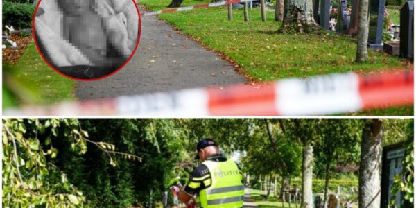 Verdachte situatie op begraafplaats: mandje voor overleden foetus aangetroffen