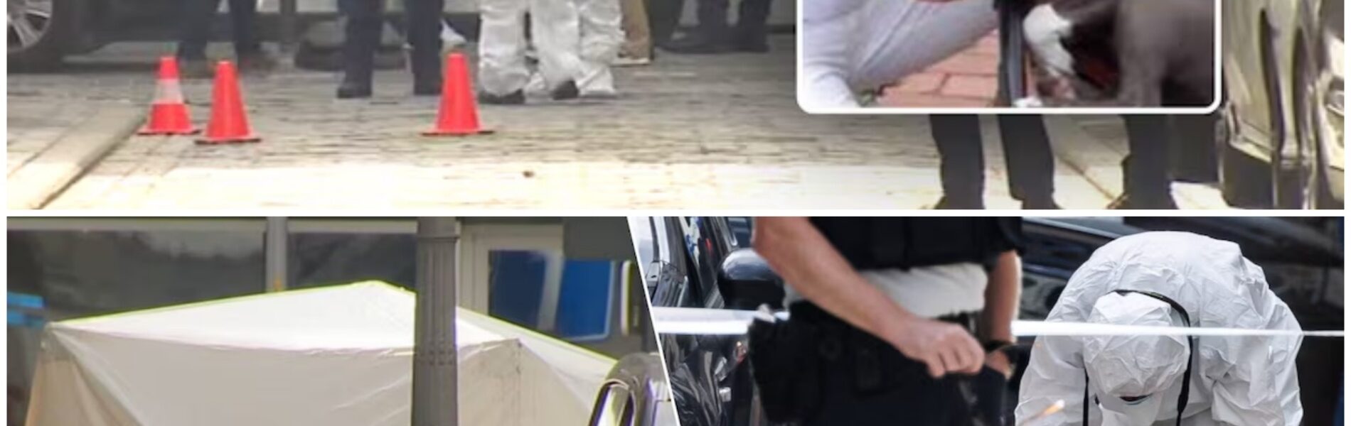 “Niemand verdient het om zo te sterven”: vriendin van Theresa D. (43), die op klaarlichte dag werd doodgeschoten in Oostende getuigt