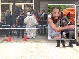 Daders nog steeds op de loop, straks autopsie op slachtoffer: alles wat we nu weten over de moord op Theresa D. (43) in centrum van Oostende