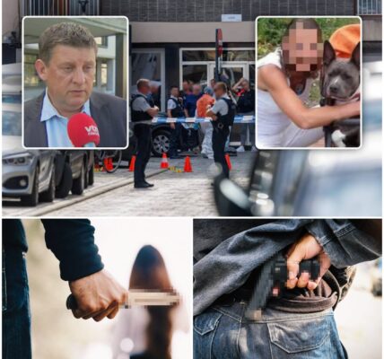 Moord, schoten en messen: Oostende siddert na vijf geweldsfeiten in twee weken