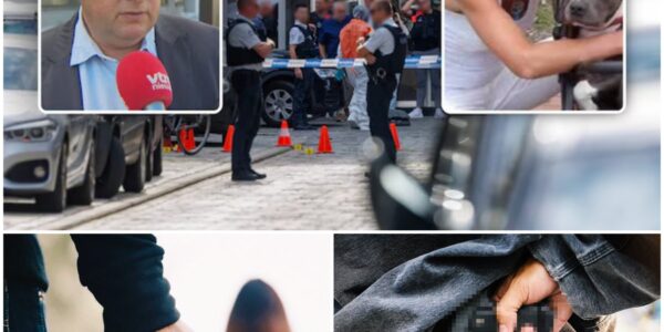 Moord, schoten en messen: Oostende siddert na vijf geweldsfeiten in twee weken