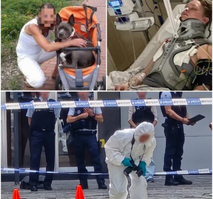 3 DAGEN ZOEKOPDRACHT: Moordenaar van Theresa (43) in Oostende nog steeds op de vlucht