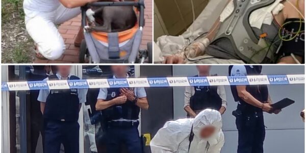 3 DAGEN ZOEKOPDRACHT: Moordenaar van Theresa (43) in Oostende nog steeds op de vlucht