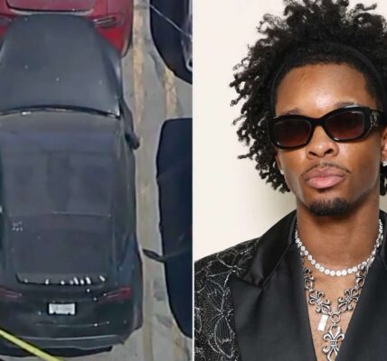 Ontbonden lichaam gevonden in Tesla, op naam van zanger d4vd: politie onderzoekt