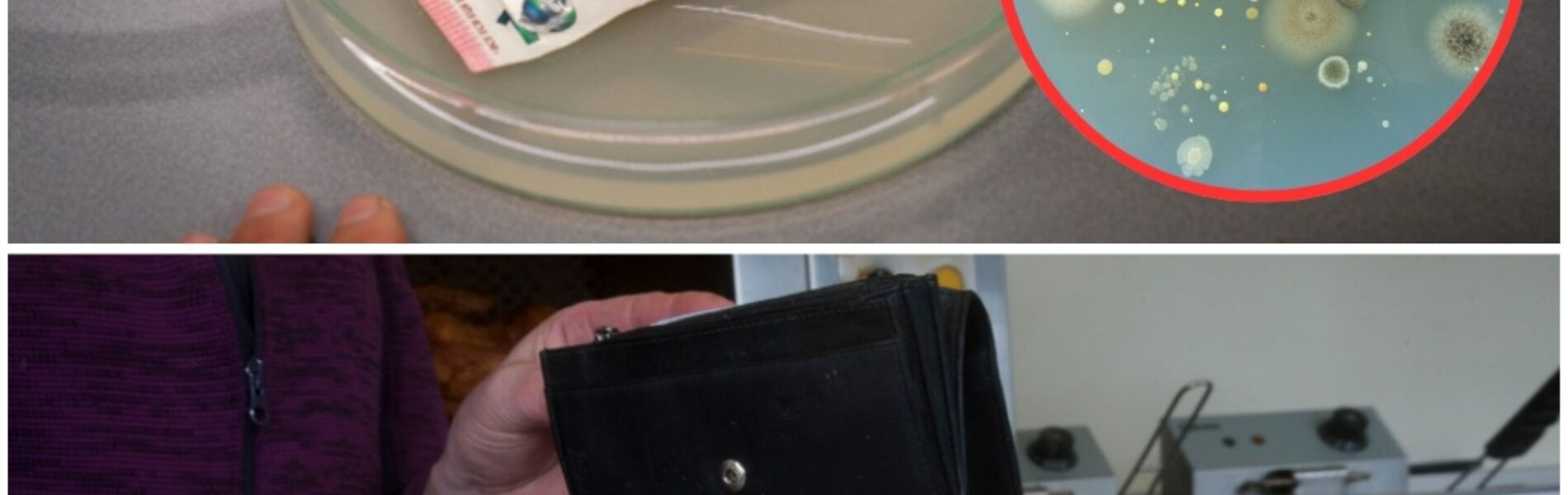 Onderzoek: Contant geld zit vol bacteriën, onder andere de liseria- en poepbacterie zijn aangetroffen