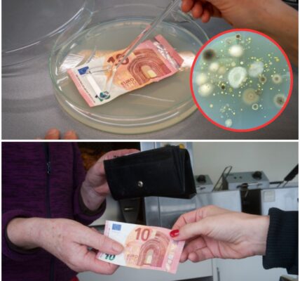 Onderzoek: Contant geld zit vol bacteriën, onder andere de liseria- en poepbacterie zijn aangetroffen