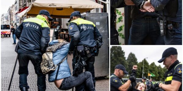 VIDEO: Nederlandse agent is klaar met zachte handjes en grijpt keihard in bij tuig op straat