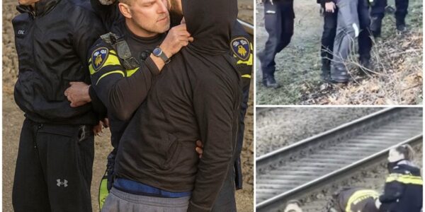 Massaal kritiek op agent die volgens critici kansenparel 'te hardhandig' aanpakt na aanhouding: 'Dit is zo onnodig!'