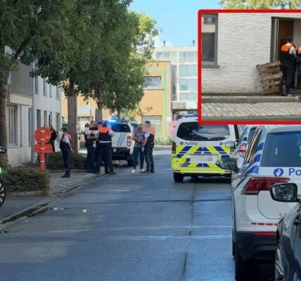 Vrouw (28) in de nek gestoken na burenruzie in Zeebrugge: slachtoffer in kritieke toestand, verdachte (65) aangehouden