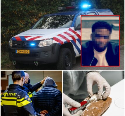 Jonge verdachte (19) opgepakt voor ‘uithalen’ van drugs in haven Ritthem: politie waarschuwt voor gewapende criminelen