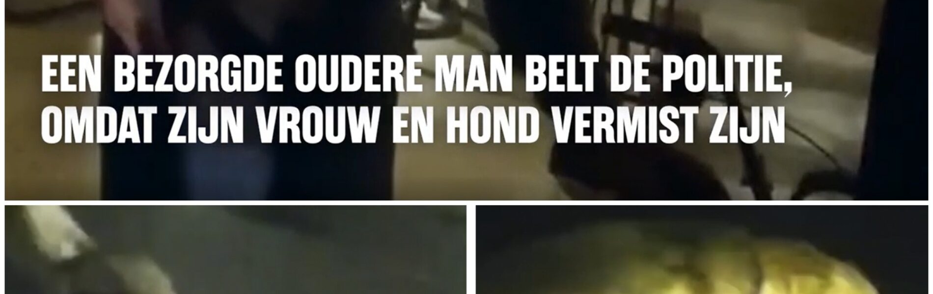Hond leidt agent naar 86-jarige vrouw die gevallen is tijdens hun wandeling: "En ik ben zelfs zijn baasje niet, ik ben zijn oma"