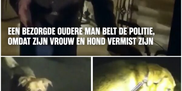 Hond leidt agent naar 86-jarige vrouw die gevallen is tijdens hun wandeling: "En ik ben zelfs zijn baasje niet, ik ben zijn oma"