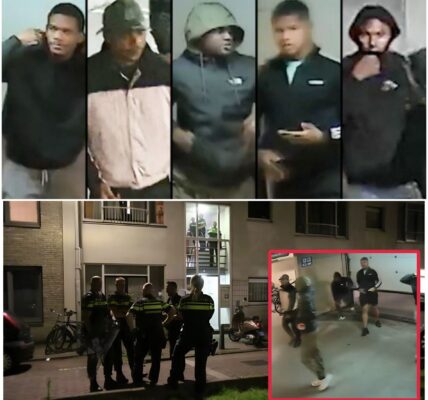 🚨 Drama in Den Haag: schietpartij op bewoner 's nachts op een parkeerplaats — bende van vijf op de vlucht!