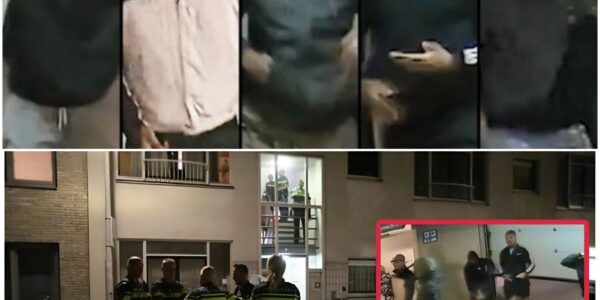 🚨 Drama in Den Haag: schietpartij op bewoner 's nachts op een parkeerplaats — bende van vijf op de vlucht!