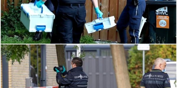 VIDEO: Vrouw overleden na reanimatie in huis Zaandam, politie sluit misdrijf niet uit