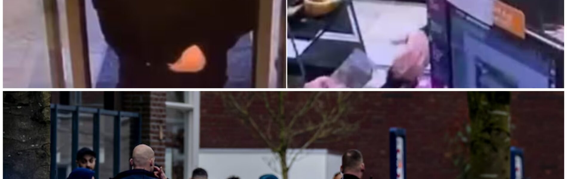 “Zweedse huurmoordenaars in Brabant: perfect voorbereid – maar verraden door één domme fout”